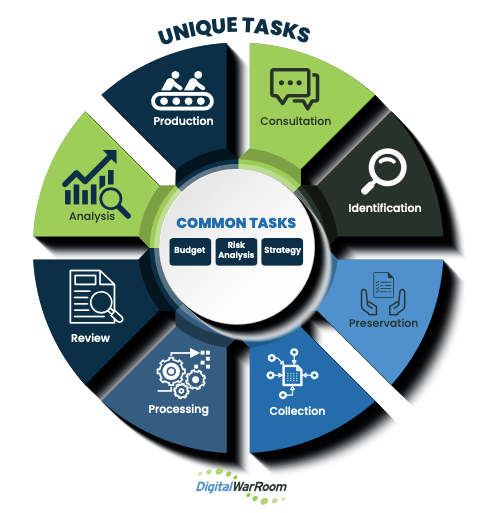 visualize the workflow